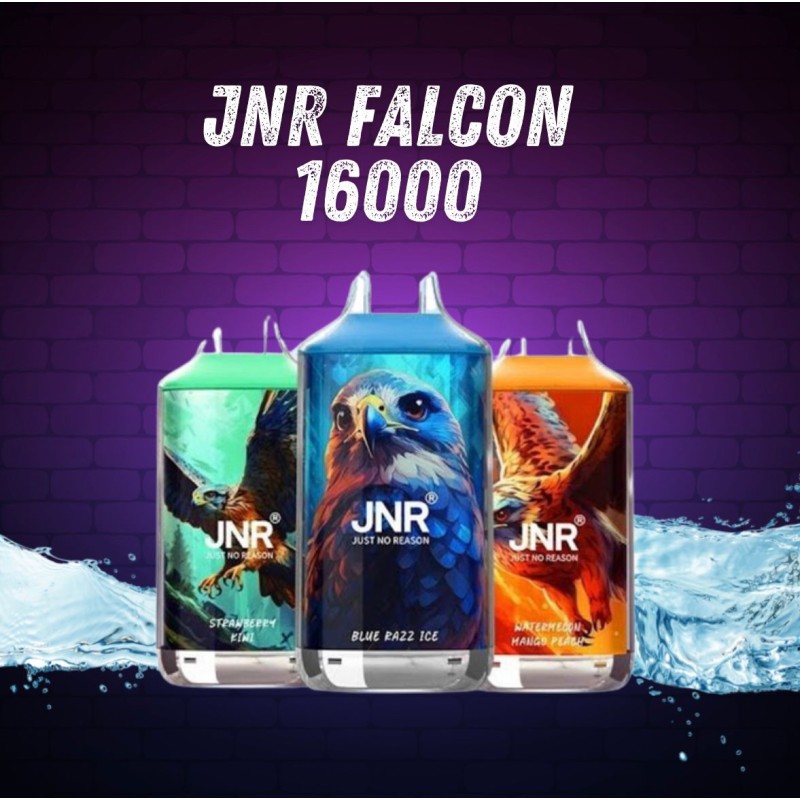 A Comprehensive Review of the JNR Falcon 16000 Disposable Vape
